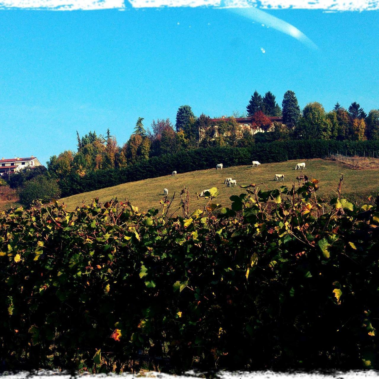Locanda Del Boscogrande Montegrosso dʼAsti المظهر الخارجي الصورة